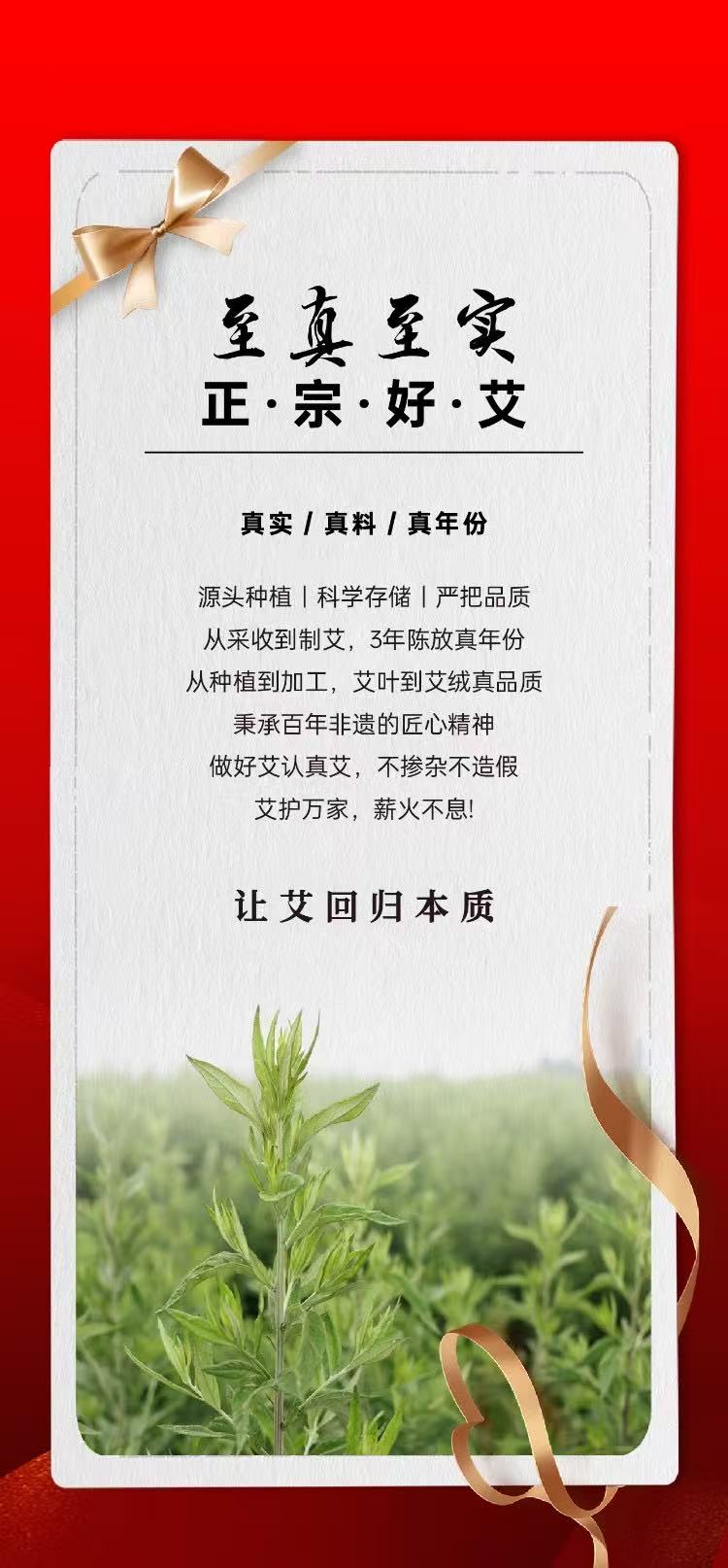 至真至实-正·宗·好·艾